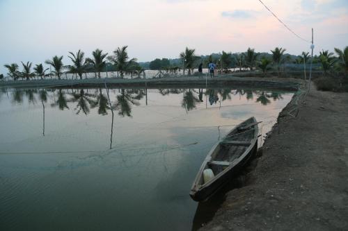 Kandal Theeram Farms