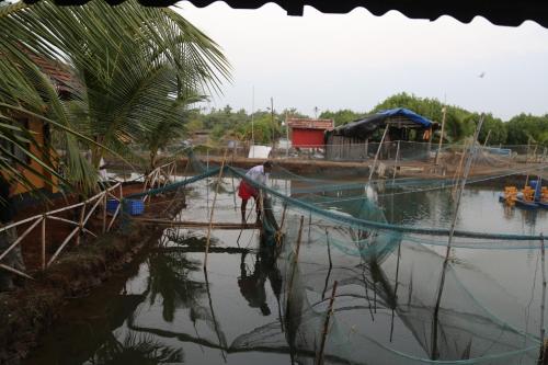 Kandal Theeram Farms