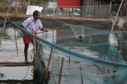 Kandal Theeram Farms