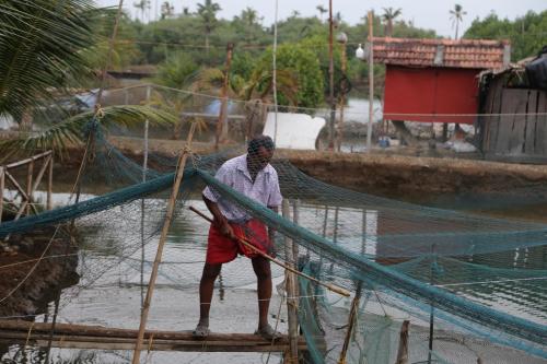 Kandal Theeram Farms