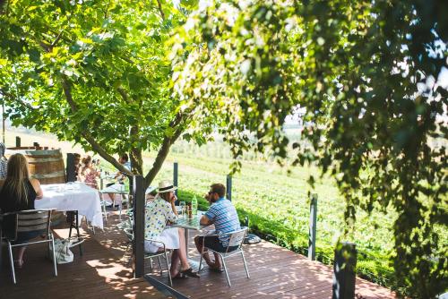 Borrodell Vineyard