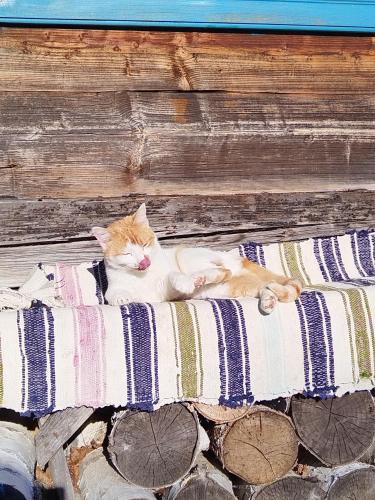 Small Apartment in Breb s Cosy Barn, Breb (foto 6)