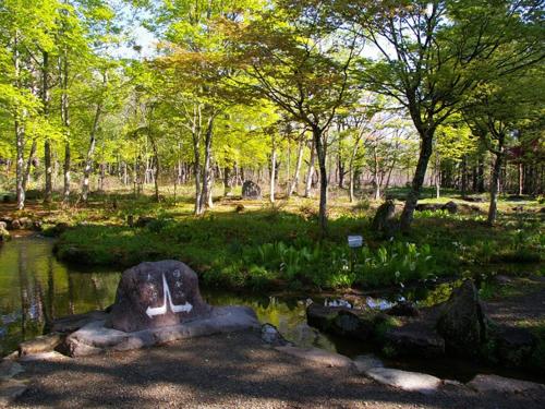 나고미야 히루가노 - 주변 명소