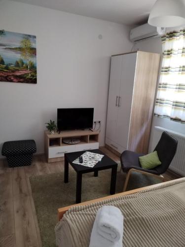 V & V Studio Apartments, Niš (photo 5)