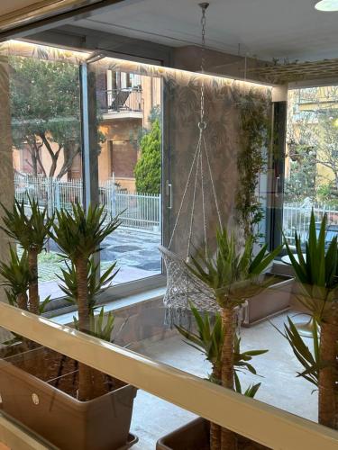 Hotel Concorde in Bellaria-Igea Marina