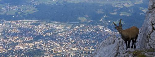 Hotel Charlotte – Innsbruck, IL