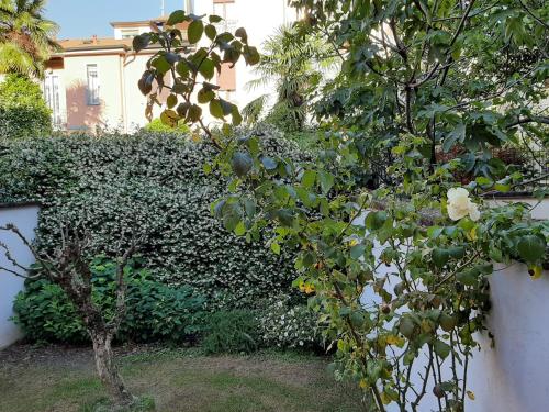 Casa Mari - free secure parking, breakfast, private bathroom, wifi, garden, aircon, 5 min walk to metro and train station, Milan (photo 6)