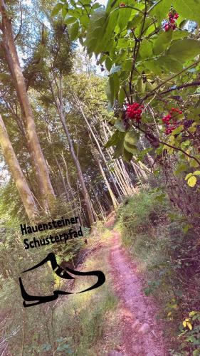 Heimatliebe Wohnung FÜNF (Heimatliebe Wohnung FUNF) in 埃爾夫韋勒