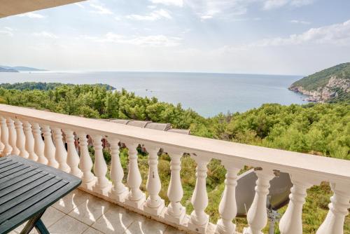 Vila Bronhi in Zagrade