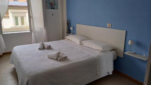 Standard Double Room room in Hotel Canarco