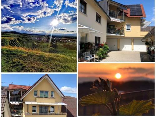 Holiday apartment Kromer in Jechtingen, Deutschland