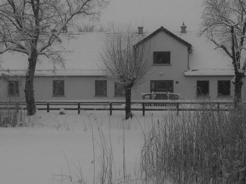 Granary - house by the pond