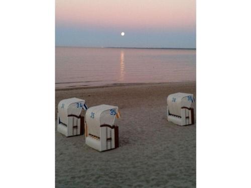 Instalaciones, Chrissis Baltic Sea nest in Scharbeutz