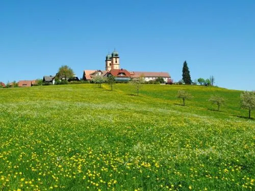 Landhuis Appartement Feldberg uitzicht in Sankt Märgen, Deutschland