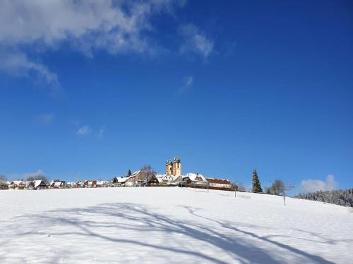 Country house apartment Feldbergblick