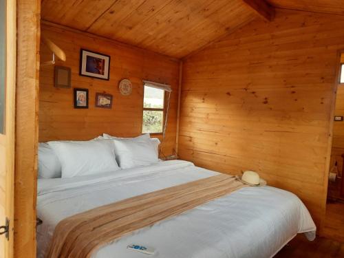 EL GLAMPING DE CALIXTO