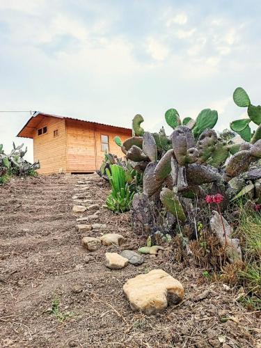 El Glamping de Calixto, Villa de Leyva