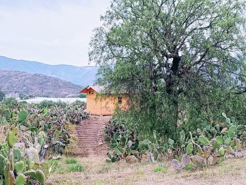 El Glamping de Calixto, Villa de Leyva