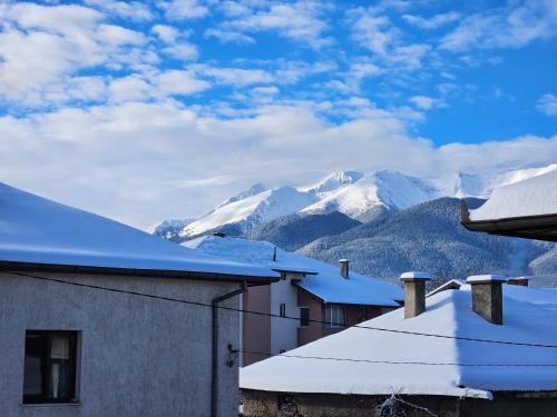 Villa Geronimo, Bansko (fotografie 4)