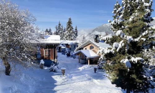 Le Hameau de Marcandou Courchevel 1850