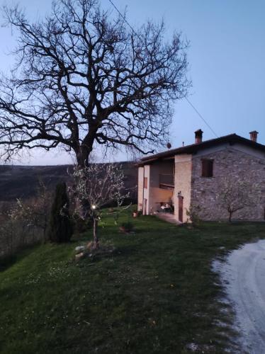 B&B del Fernè chambre d'hôte Stanganello
