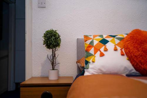 Cosmopolitan Comforts Flat