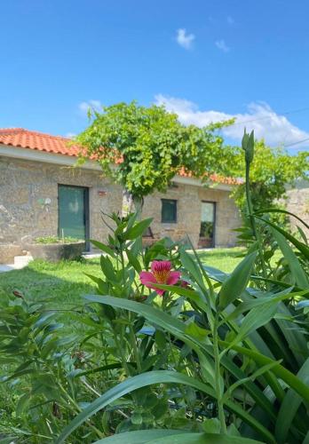 Quinta Da Tulha