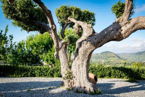 Tenuta Pietravera