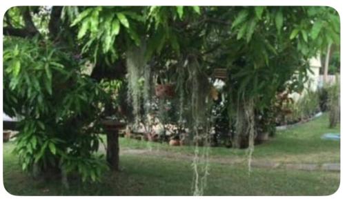 Beryls at Seawind on the Bay , Montego Bay , Jamaica