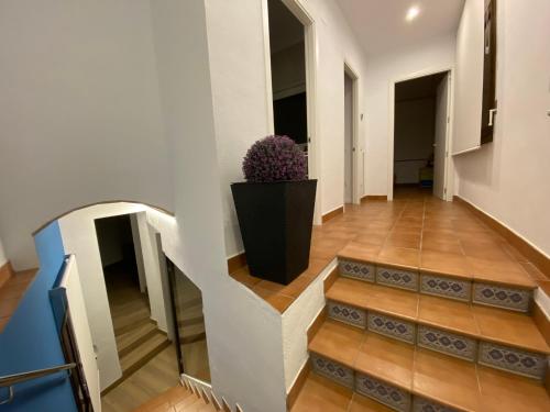 Can Pirrot Salitja Can Pirrot Salitja