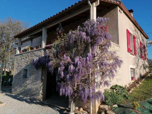 Le COLOMBIE GOULEME chambre d'hôte Saint-Germain-du-Bel-Air