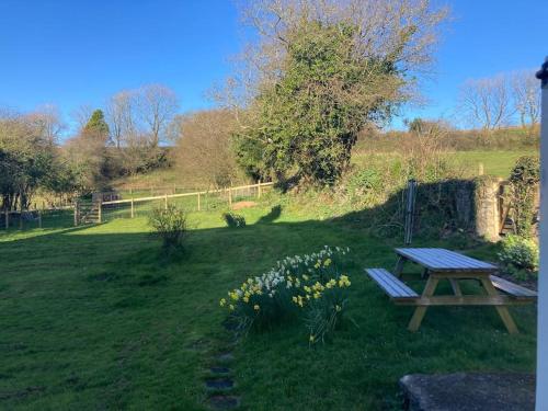 Courtyard Cottage - Grade II listed - Barnstaple