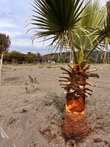 LAKOS KARAVAN - SARIGERME BEACH