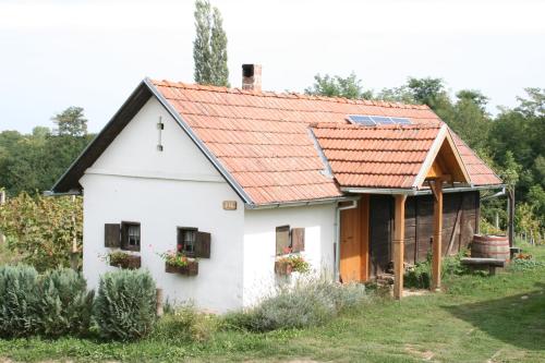 Farmica Bed&Breakfast - Accommodation - Ðurđevac