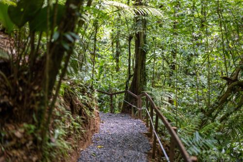 La Fortuna Rainforest Glass Cabin w/amazing views