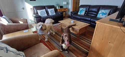 Seascape Cottage – Isle of Lewis