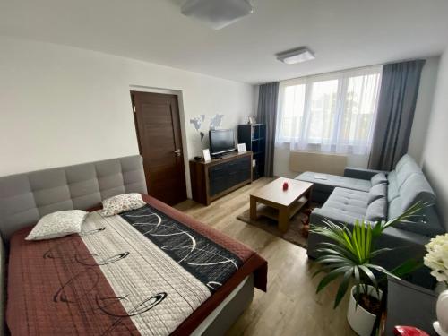 Luxusní Apartmá CHKO Třeboňsko - Apartment - Veselí nad Lužnicí