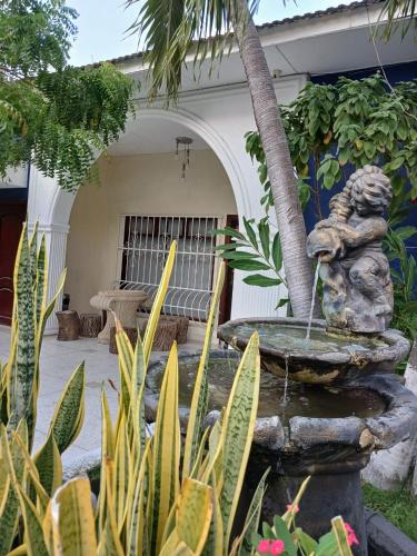 Garden, Hostel Mamy Dorme in Barranquilla