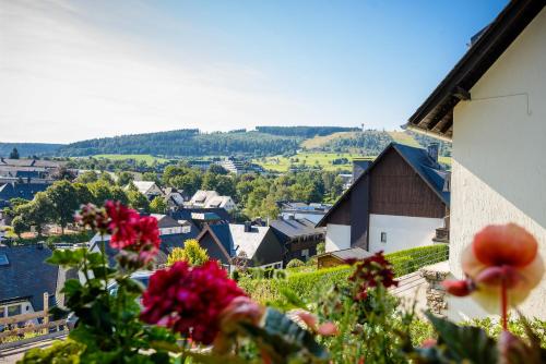 Accommodation in Willingen-Upland