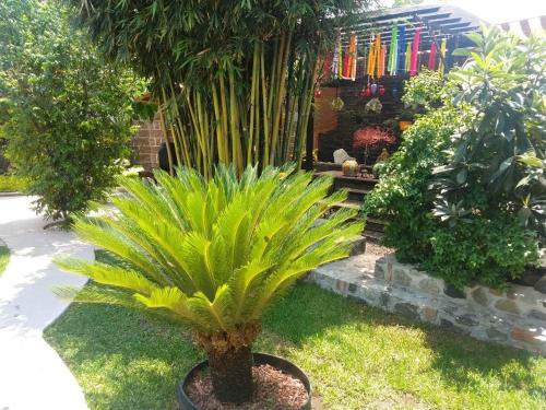 Casa orquídea in Oacalco, Mexico