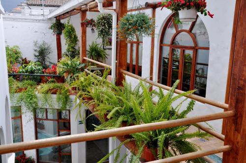 ทัศนียภาพภายนอกโรงแรม, Boutique Hotel Casa Foch in ซีมอน โบลิวาร์