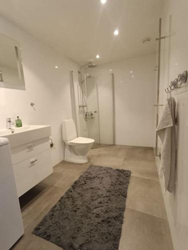 Modern, private & fully equipped for 3 & 2 children, near forest, with kitchen washer, pets friendly, Floda (photo 4)
