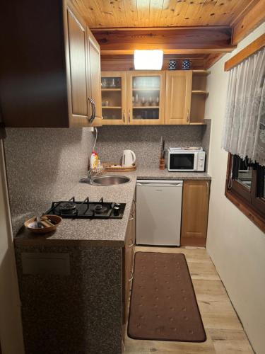 Chata u lesa in Plzen