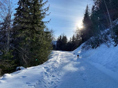 Chalet de 4 chambres avec jardin et wifi a La Lechere a 1 km des pistes