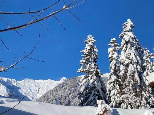 Chalet de 4 chambres avec jardin et wifi a La Lechere a 1 km des pistes