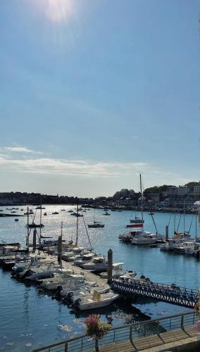 Sur le Port de Plaisance - Anatoline Appart'Hotel - Hôtel - Audierne