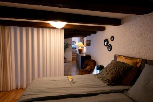 La Petite Cour - Atypique, calme et cozy, Strasburgo (foto 6)