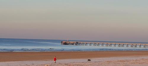 Le Lido - image 3