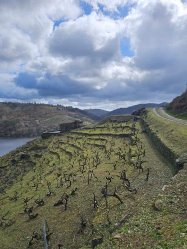 Viña Candaz