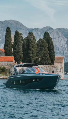 Studio Zeta Porto Montenegro - image 12